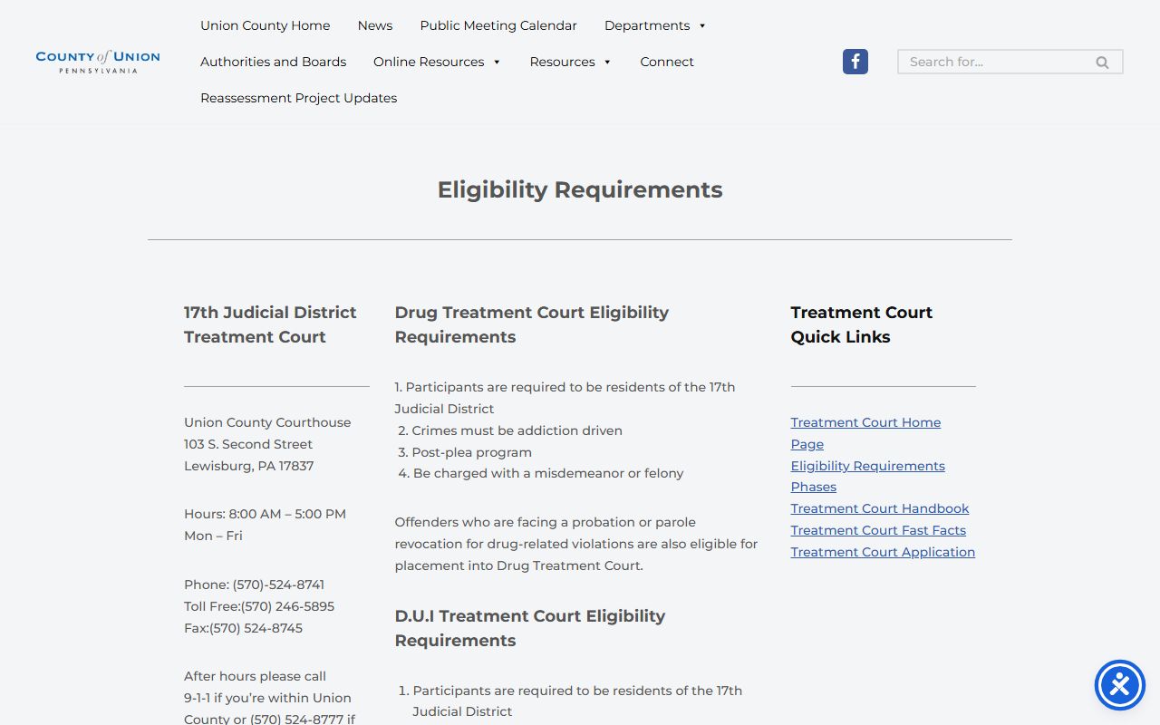Union County Court of Common Pleas Treatment Court eligibility requirements